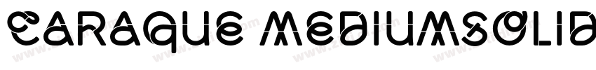 Caraque MediumSolid字体转换
